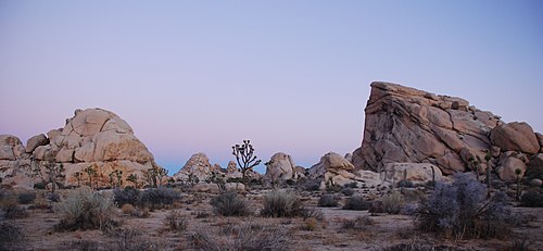 Joshua Tree National Park